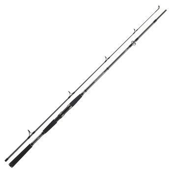Спінінг Daiwa Seahunter X 2.40m 100-200g 11533-246 фото