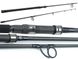 Удилище Sportex Purista Carp CGC 13ft 3.75lb 2023 130378 фото 2