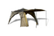Палатка Nash Bank Life Gazebo Plus T1261 фото 3