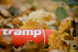 Tramp Soft Touch 0,75 л помаранчевий TRC-108-orange TRC-108-orange фото 15