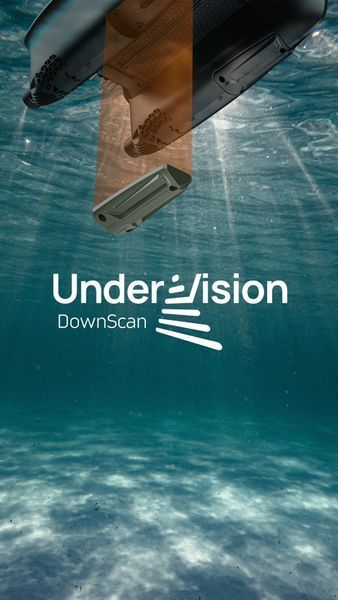 Модуль підводного сканування Deeper DownScan Undervision для QUEST FNG0078 фото