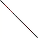 Brain Classic Strong 6.00m 10-30g 18585486 фото 1