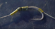 Nash Pinpoint Brute Hooks Micro Barbed size T6144 фото 3